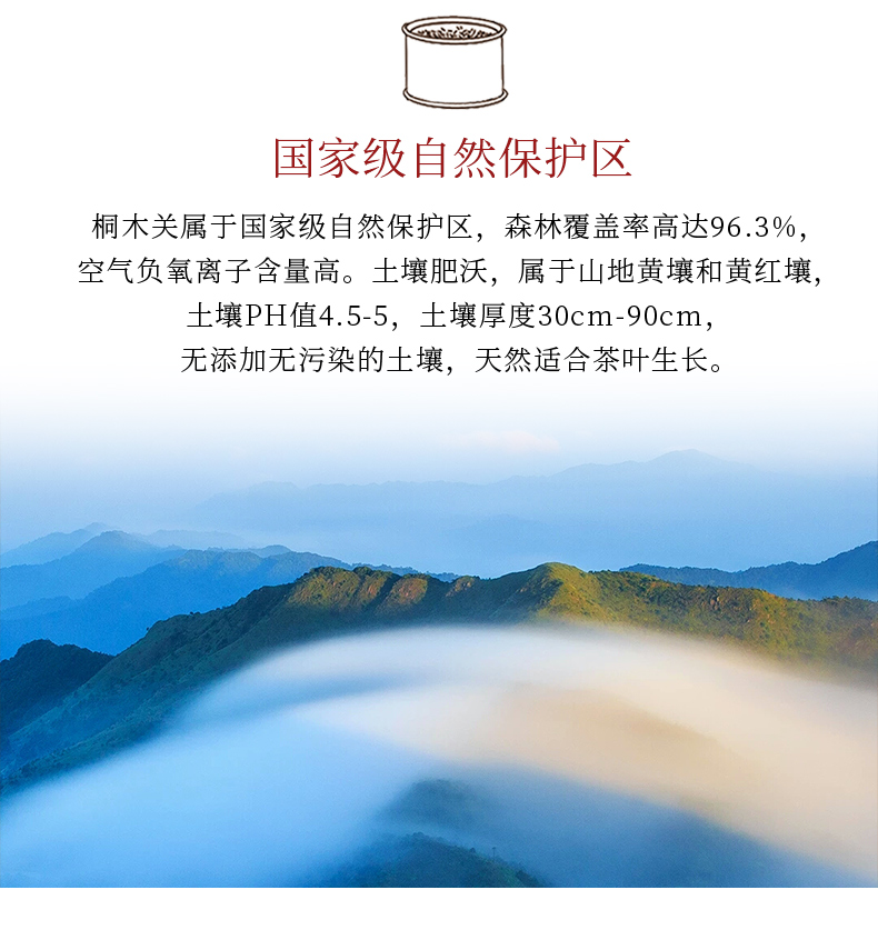 金骏眉·国际版·50克_07.jpg